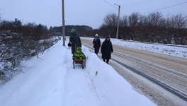 Бастрыкин взял под контроль дело о разрушающемся мосту в Бахте
