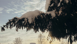 Какая погода будет в Кирове с 19 по 25 января?