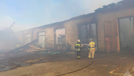 В Лузском районе сгорел цех деревообработки