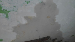 Спешный ремонт подвала в доме на Воровского не помог избавиться от тараканов и мух