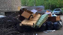Подрядчика для замеров мусора в Кировской области выберут на торгах