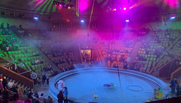 В кировском цирке отремонтируют гостиницу для гастролёров