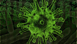 «Омикрон» может объединяться с другими штаммами коронавируса