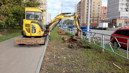В Кирове готовят к озеленению Никитский сквер и улицу Сурикова
