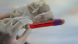 ВОЗ: новый штамм коронавируса «дельтакрон» мог появиться в результате ошибки