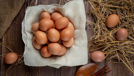 Минсельхоз РФ начал работу над стабилизацией цен на яйца в России