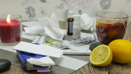 В Кировской области заболеваемость ОРВИ за неделю выросла на две трети, есть случаи свиного гриппа