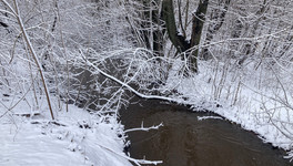 Киров встретит предпоследнюю неделю апреля мокрым снегом и дождями