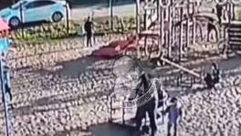 Мужчина, ударивший двух детей о качели в Пасегово, задержан