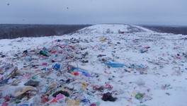 Итальянцам предложили построить в Кировской области мусороперерабатывающий завод