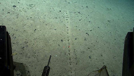 Учёные нашли на дне Атлантического океана странные отверстия