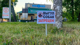 Где в Кирове можно выгуливать домашних животных?