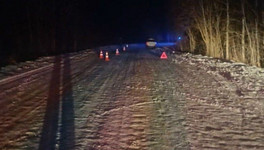 В Кировской области осудили виновника смертельного ДТП с тюбингом