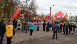 На митинг за отставку Быкова пришло около 50 человек