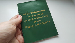 С октября в Кировской области начнут внедрять цифровые удостоверения для многодетных