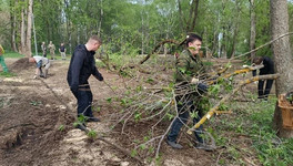 Парк имени Кирова приведут в порядок к празднику