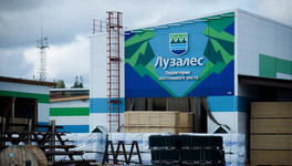 Бывший завод компании IKEA в Кировской области переименуют в «Лузалес-Вятка»