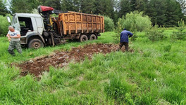 Суд обязал Министерство лесного хозяйства Кировской области устранить свалку в лесу
