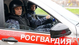 В Нововятске задержали подозреваемого в поджоге хозпостроек