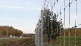 Вдоль двух дорог в Кировской области сделали ограждения от животных
