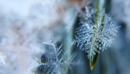 Декабрь в Кировской области ожидается сухим и морозным