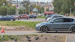 В Кирове «Киа» сбила 12-летнего мальчика на самокате