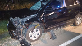 На трассе в Кикнурском районе водитель Hyundai сбил лося