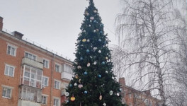 В Первомайском районе Кирова демонтируют новогодние ели