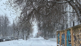 Снег в Кировской области ждут с 3 ноября