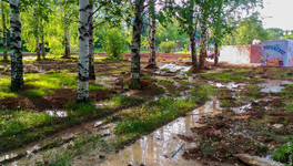 В администрации решили, как убрать воду из Кочуровского парка