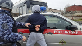На улице Жуковского мужчина укусил руку продавца, пытаясь украсть товар