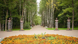 В Кирове начнут благоустраивать парк Победы