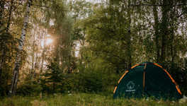 Клещи в Кирове: где сдать их на анализ и как защититься?