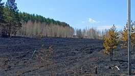 В Оричевском районе огонь с горящей сухой травы перекинулся на баню