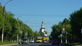 Хозяин таксы выплатит 30 тысяч рублей укушенному ребёнку