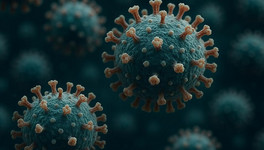 Вирусолог описала симптомы вируса Нипах