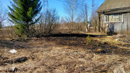 В Кировской области случился первый в сезоне ландшафтный пожар