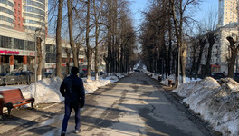 Кировским компаниям дадут до 200 тысяч за трудоустройство инвалидов