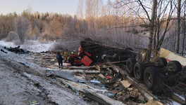 Смертельное ДТП в Котельничском районе: при столкновении иномарки и грузовика погибли три человека