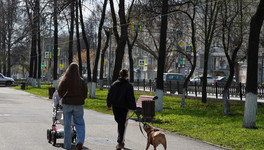 В Кировской области собака, сорвавшаяся с поводка, укусила ребенка