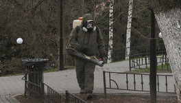 Первый пошёл: в Кирове началась обработка от клещей парков и скверов