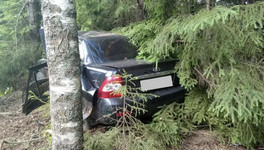 В Оричевском районе «Лада» врезалась в дерево: трое ранены