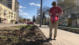 В Кирове активист высадил картофельную грядку у Дворца бракосочетания в знак протеста против некачественных газонов