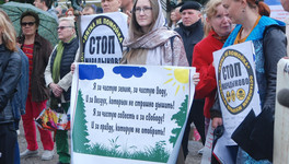 Противники «Марадыковского» выйдут на митинг 25 января