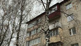 Названы регионы, в которых в ближайшие дни будут заморозки