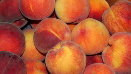 В Киров привезли полтонны заражённых персиков