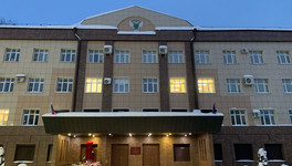 Прокуратура заставила выдать инвалиду из Кикнурского района дрова