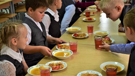 В России предложили бесплатно кормить детей-инвалидов в школах