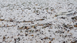 Кировскую область накроют снегопады