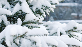 Погода в Кирове: на неделе ожидаются осадки в виде снега с дождём